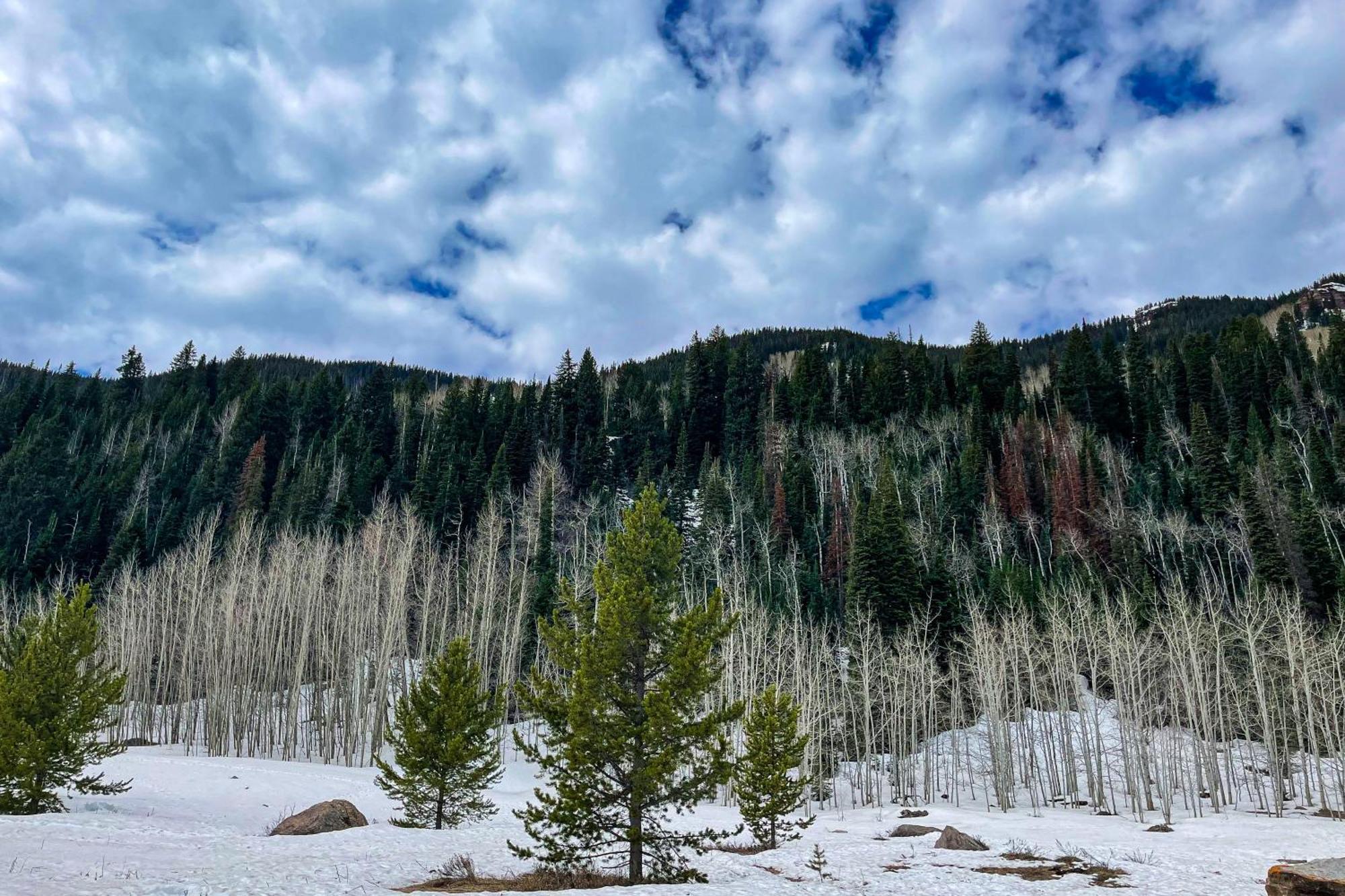 Apartamento Timber Falls Hideaway Vail Exterior foto